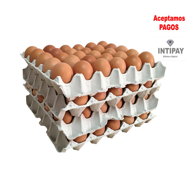 Huevos 10 Kilos